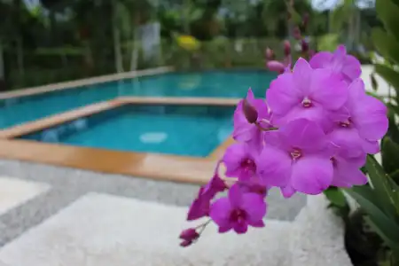 Aonang Bunk Resort - 7