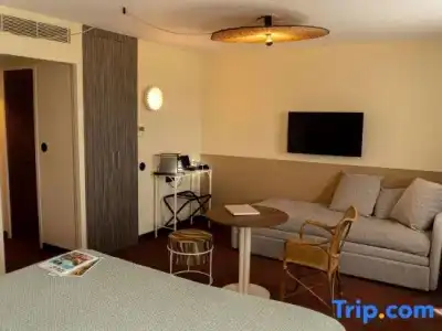 Mercure Arles Centre Arenes - 81