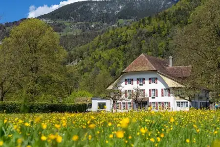 Neuhaus Golf- & Strandhotel - 7