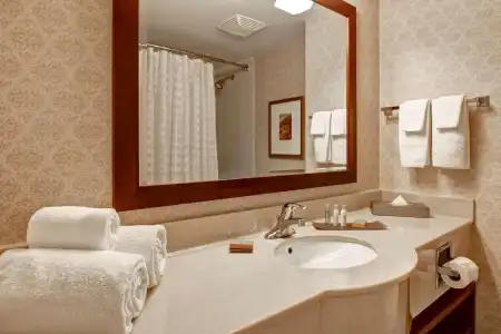 DoubleTree Fallsview Resort & Spa by Hilton Niagara Falls - 9