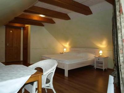 Pension Amadeus - 50
