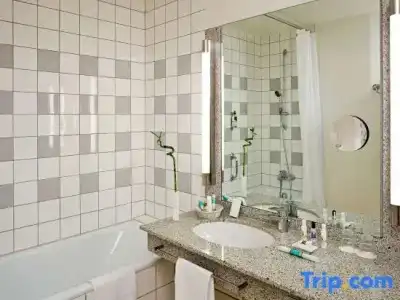 Mercure Offenburg am Messeplatz - 79