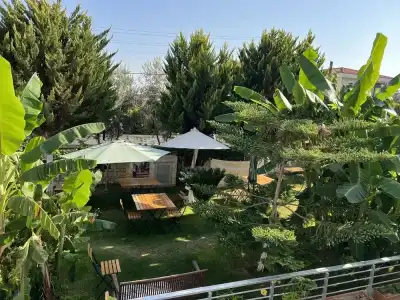 Lupa Alacati - 85