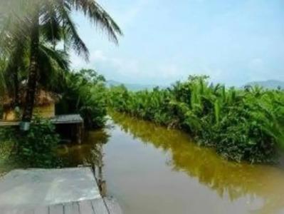 Ganesha Kampot Resort - 17