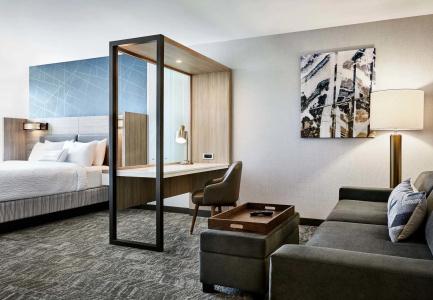 SpringHill Suites Orlando at Millenia - 4
