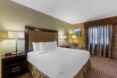 Royal Sun & Suites - 37