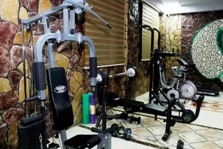 Shams Mini - 12