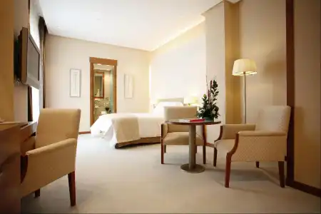 Sercotel Sorolla Palace - 5