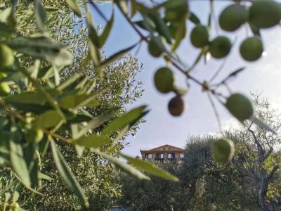 Tenuta Santa Caterina - 73