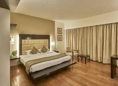 Krishna Palace - 5