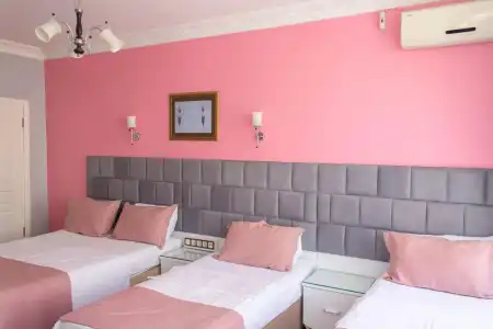 Tulip House - 23