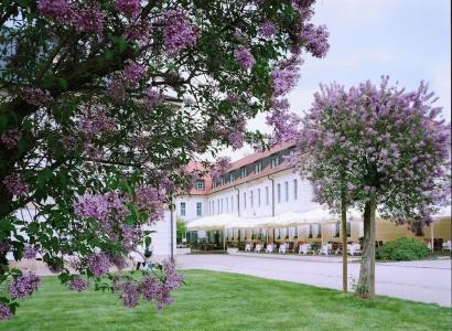 Schloss Dresden-Pillnitz - 63