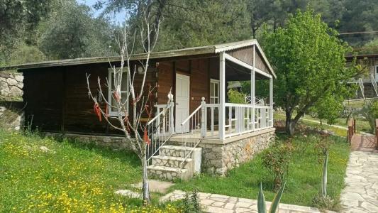 Olympos Angels Garden - 63