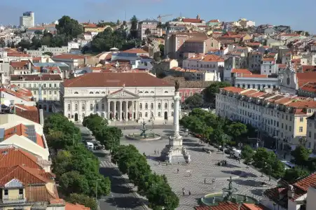 Lis - Baixa - 0