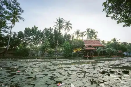 Dhabkwan Resort (SHA Extra Plus) - 18