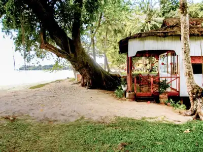 Bamboo Cottages - 20