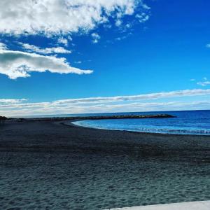 Hostal Moscatel - 14