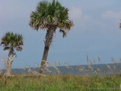 Holiday Inn Express Saint Simons Island by IHG - 21