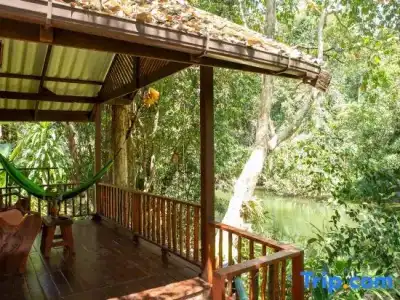 Khao Sok Riverside Cottage - 100