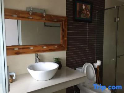 Rex and Apartment - 68