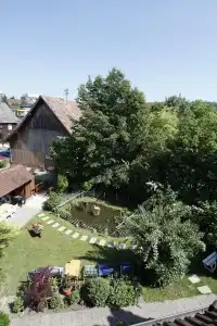 Bodensee Storchen - 48