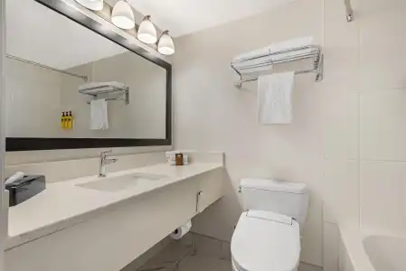 Best Western Plus Suites Downtown - 10
