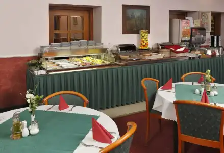 Spa Villa Smetana - 18