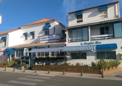 Hôtel Le Dauphin Bleu - 0