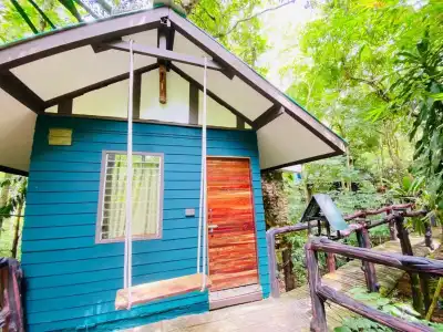 Khao Sok Tree House - 28