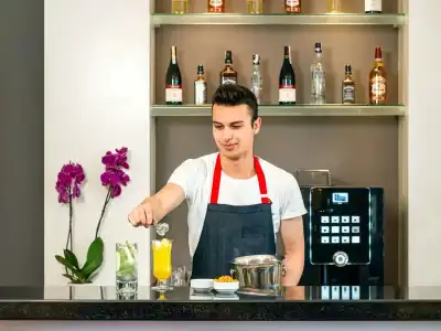 ibis Bursa - 38