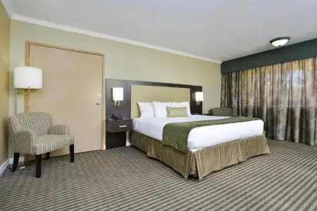 Royal Sun & Suites - 91