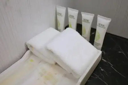 Jinjiang Metropolo Hua Ting Guest House - 29