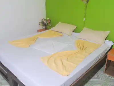 Gabriel Guest House - 2