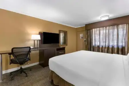 Royal Sun & Suites - 59