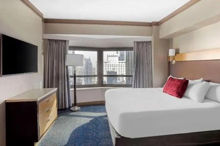 The Hilton Club - New York - 7