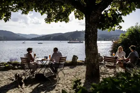Maritim TitiseeTitisee-Neustadt - 28