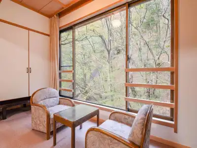 Shirahone Onsen Tsuruya Ryokan - 63