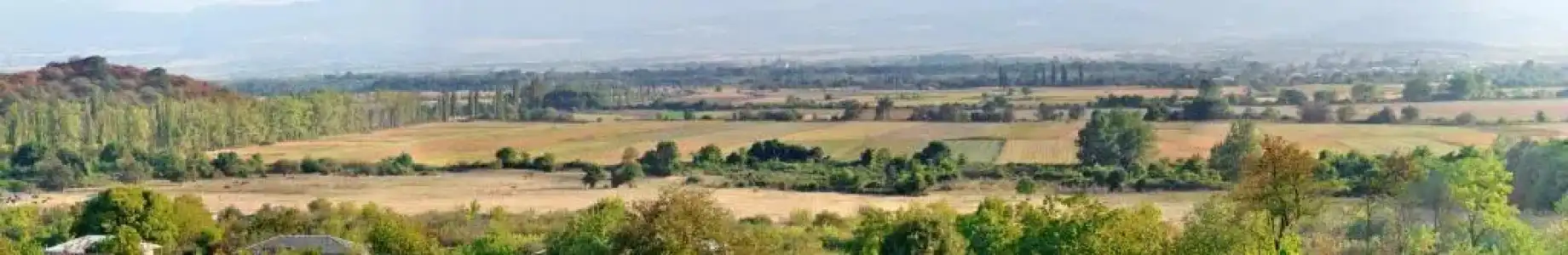 Babaneuris Marani - 72