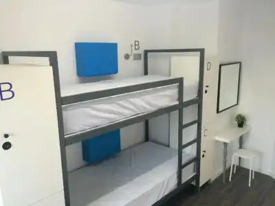 Chameleon Youth Hostel Alicante - 16