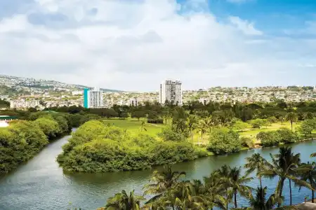 Coconut Waikiki - 21