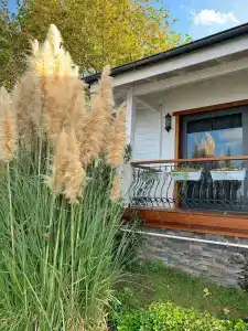 SASA Harmanlik - 27