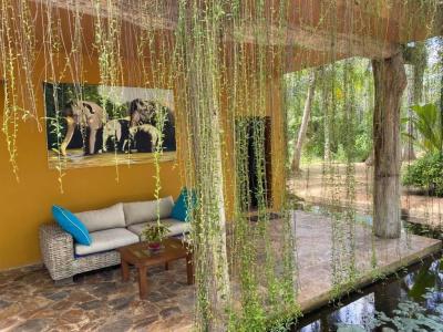 Mangrove Beach Chalets - 13