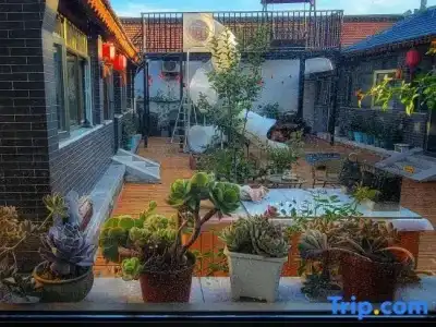 Orchid Residence Suratthani - 174