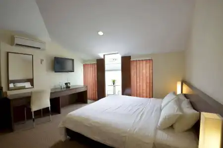 VIP (SG Clean Certified) - 26