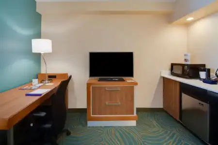 SpringHill Suites by Marriott Orlando Lake Buena Vista South - 19