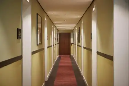 WIDE - 31