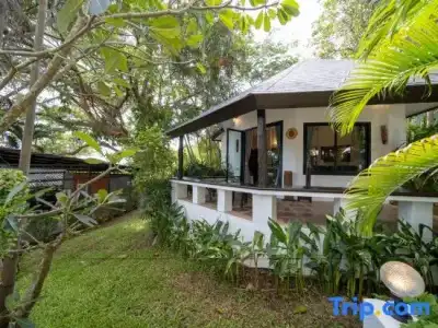 Chaweng Bayview Resort - 316