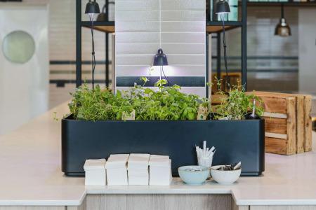 Berlin, Berlin, a member of Radisson Individuals - 11