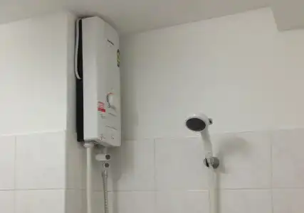 Next Bird Suite - 7