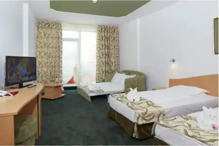 Mena Palace - All Inclusive - 39